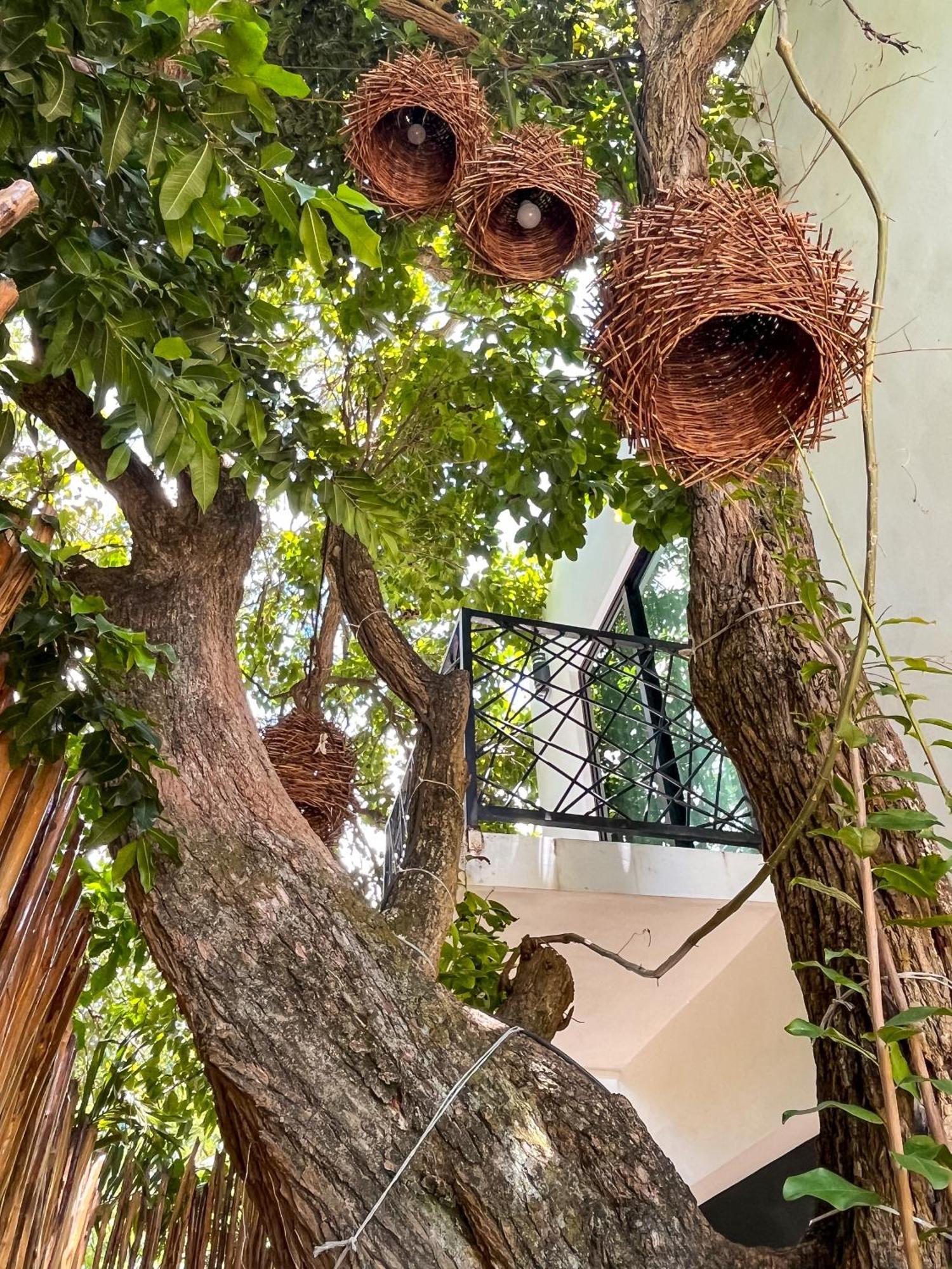 Hotel Kookay Valladolid Valladolid  Ngoại thất bức ảnh